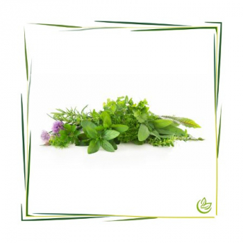 Natürliches Parfümöl Herbal Care 1 l